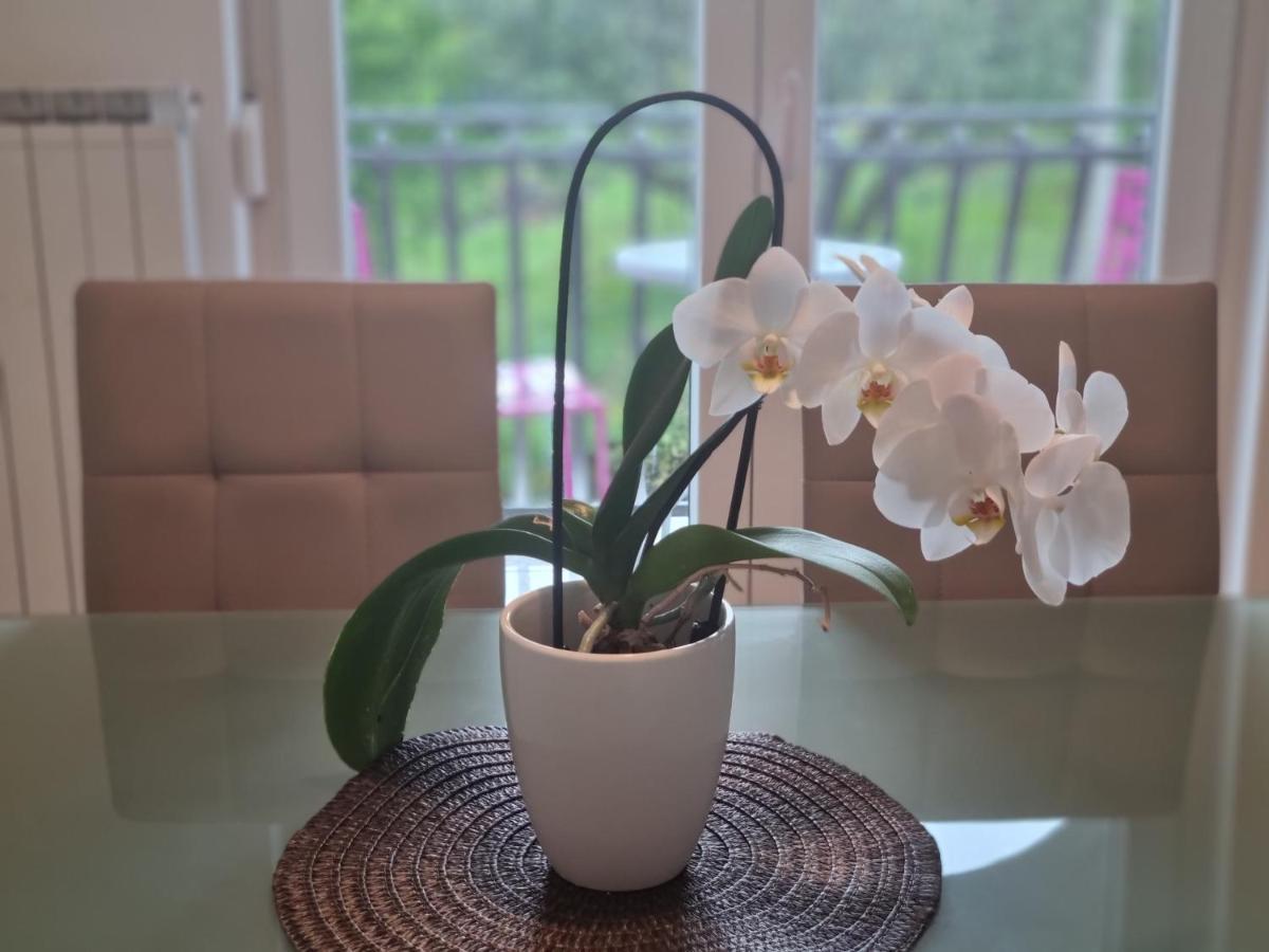 Appartement Bazilika Sečovlje