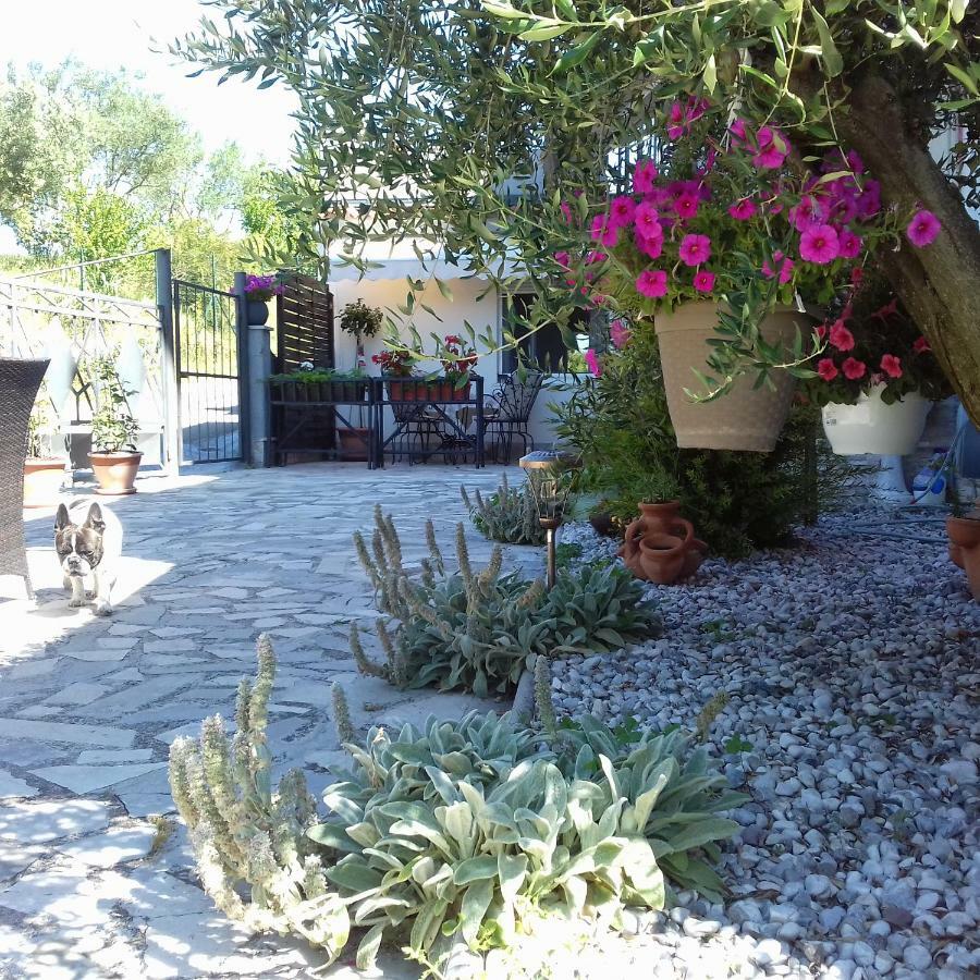 Bazilika Appartement