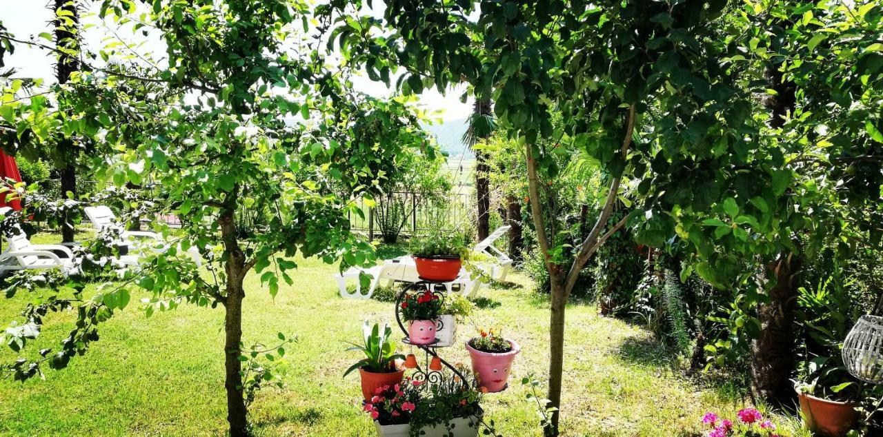 Bazilika Appartement *